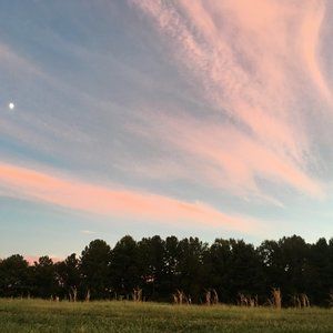 Meet your Posher, Katherine